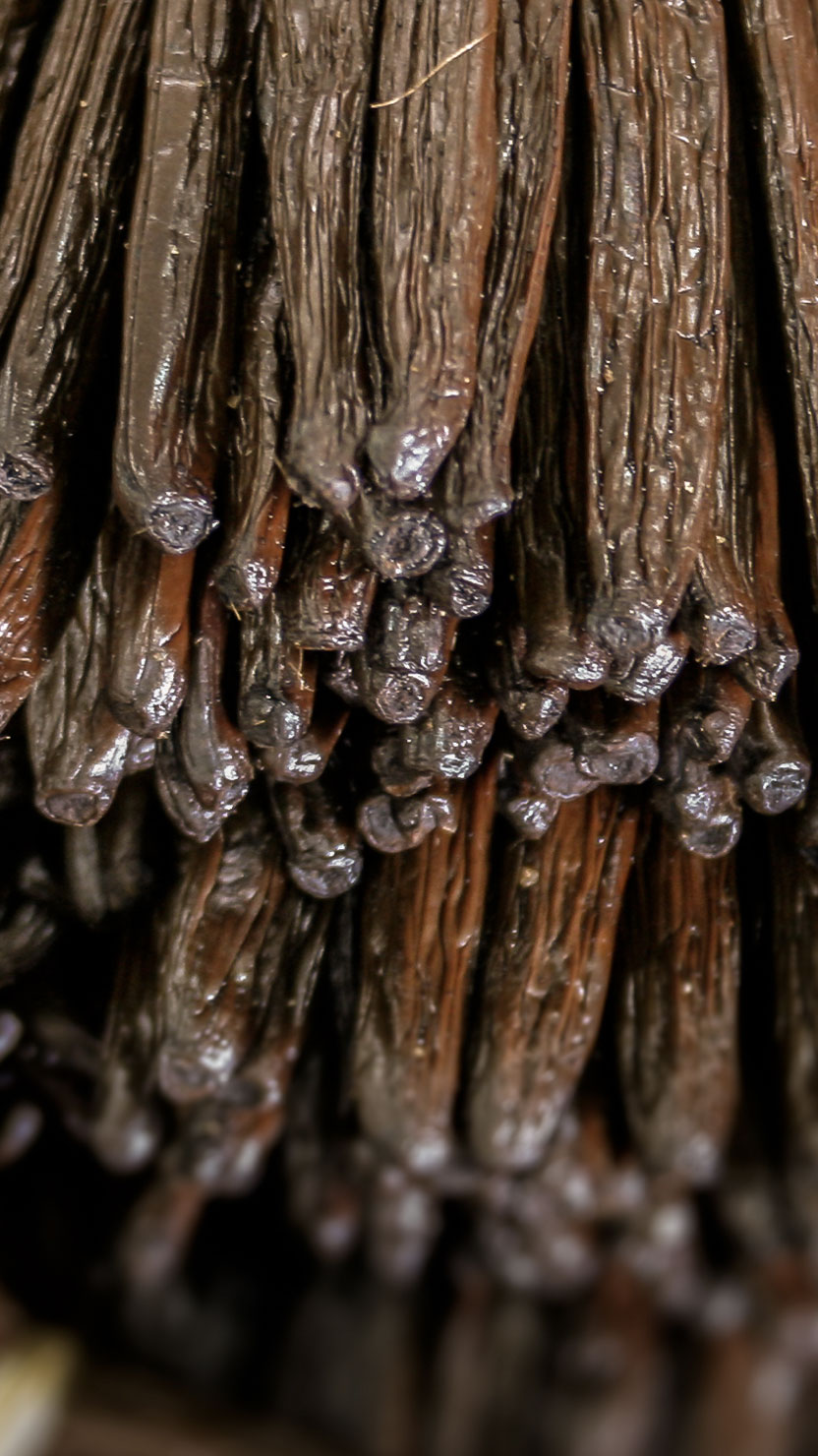 vanilla beans