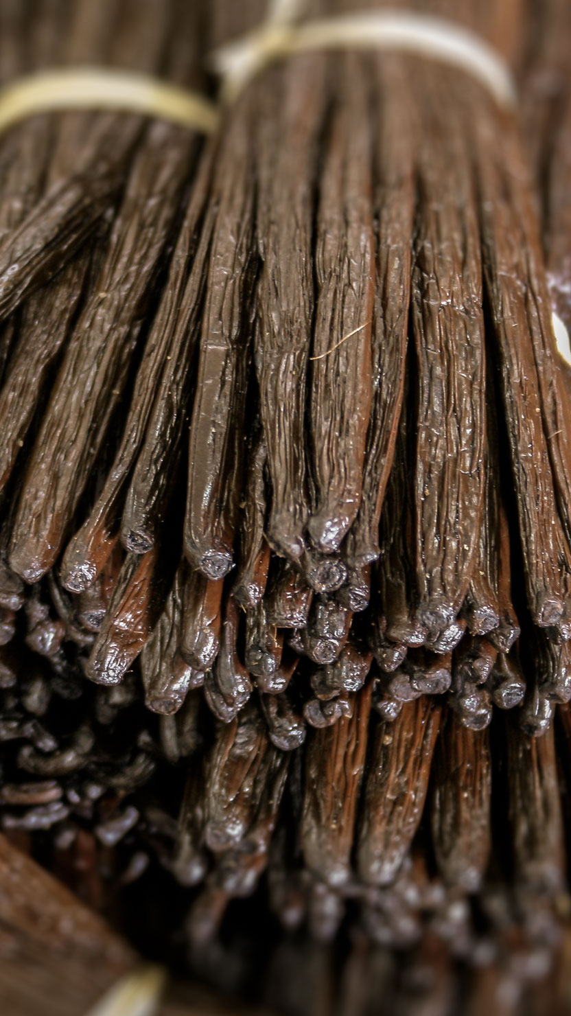 vanilla beans